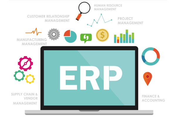 Mobile friendly portal development services in Newtown