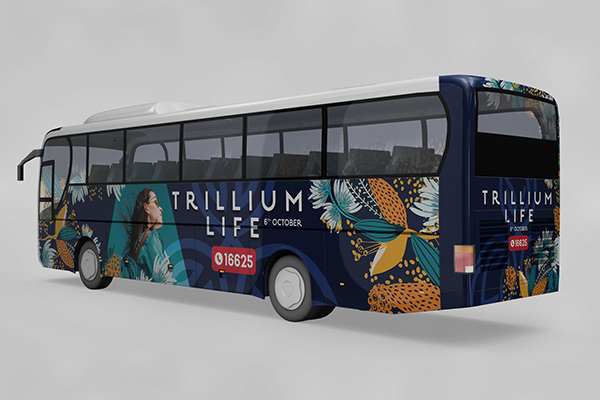 Bus Back Design Printing in Newtown