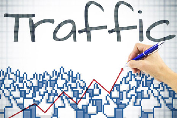 Organic Website Traffic Services in Newtown