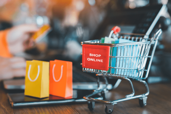 Meesho SEO expert in Kolkata